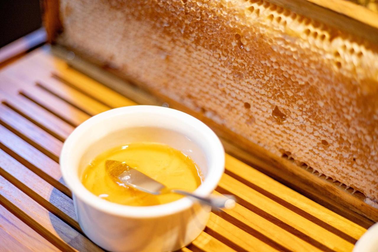 Lk Design Hotel Florianópolis Exteriér fotografie Honeycomb and honey